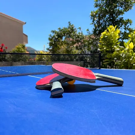 Zvijezda Appartement *